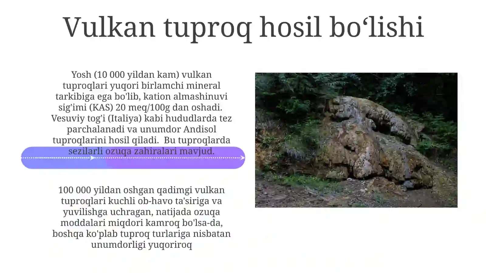 Vulkan tuproqlar haqida 4