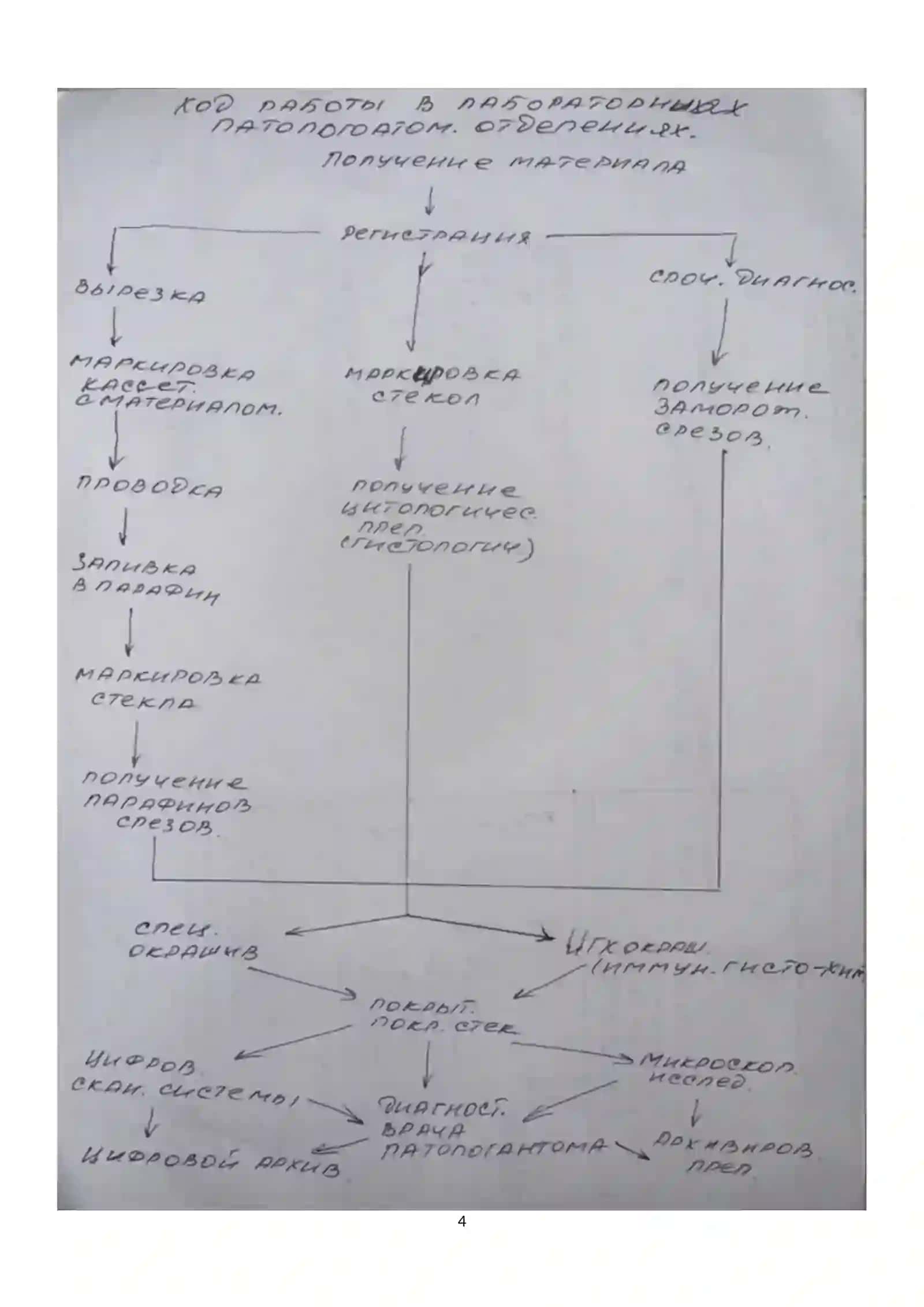 Организация патологоанатомической службы в медицинских учреждениях 4