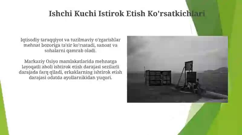 Mavzu: O'rta osiyo davlatlari aholisi va mehnat resurslari 4