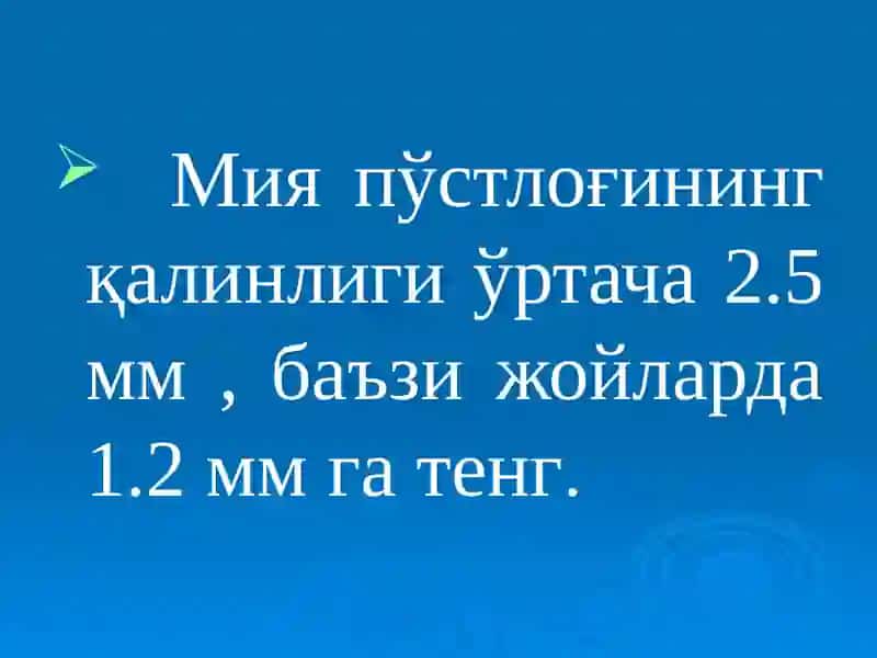 Бош мия пўстлоғининг клиник тузилиши, гистологияси ва физиологияси,  касалланиш белгилари 4