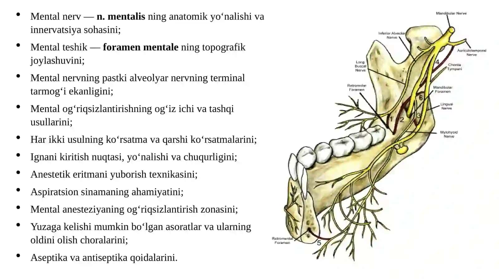 Mental og’riqsizlantirish-ningog’izichiva tashqiusuli 4