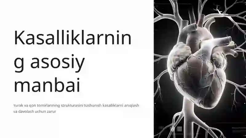 Yurak Qon Tomir Kasalliklarida Bemorlarni Tekshirish Usullari 4