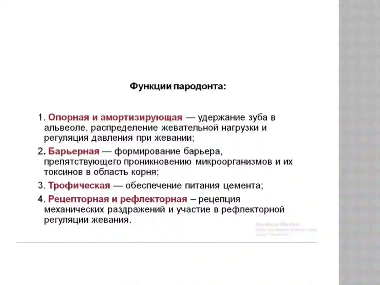Строение тканей пародонта 4