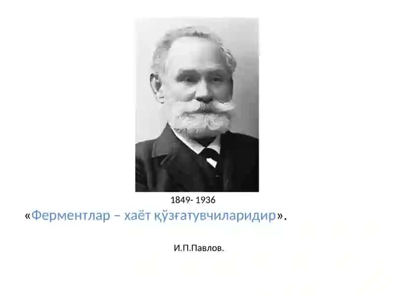 Ферментлар 4