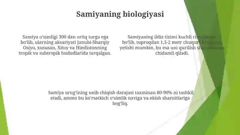 Samiya biologiyasi va yetishtirish 4