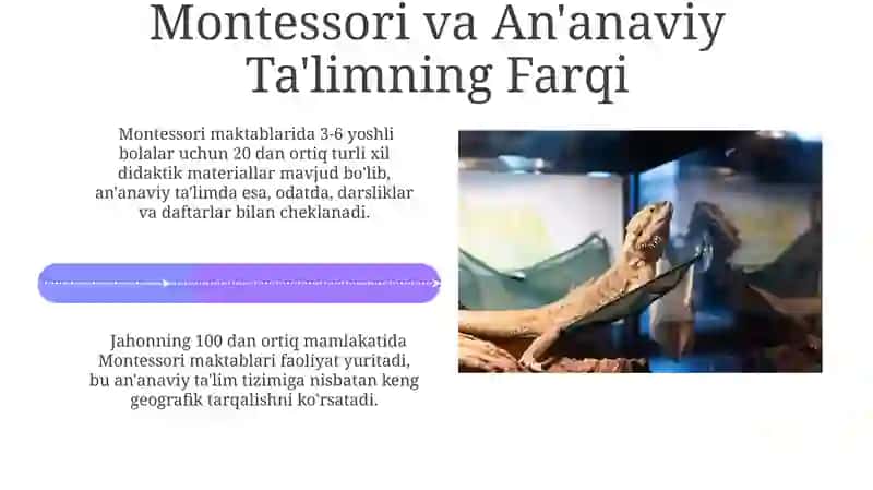 Montessori Metodi: Asosiy Tamoyillar 4