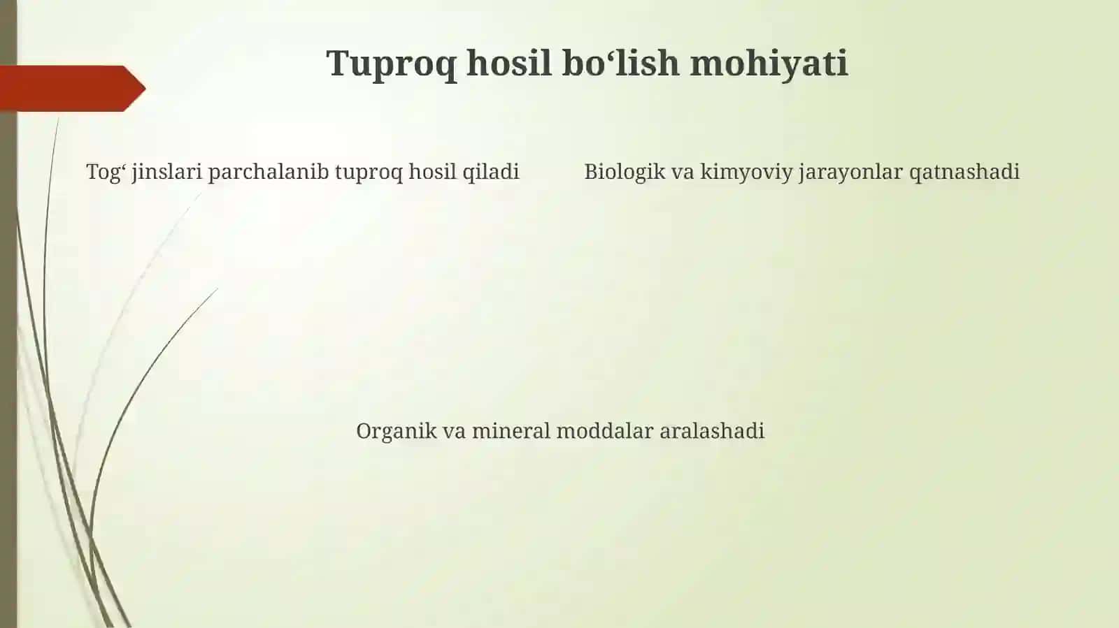 Tuproq paydo bolishida moddalarning yoqolishi va toplanishi 4