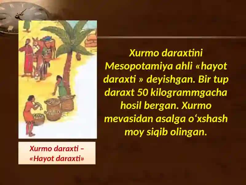 Mesopotamiyasivilizatsiyalari 4