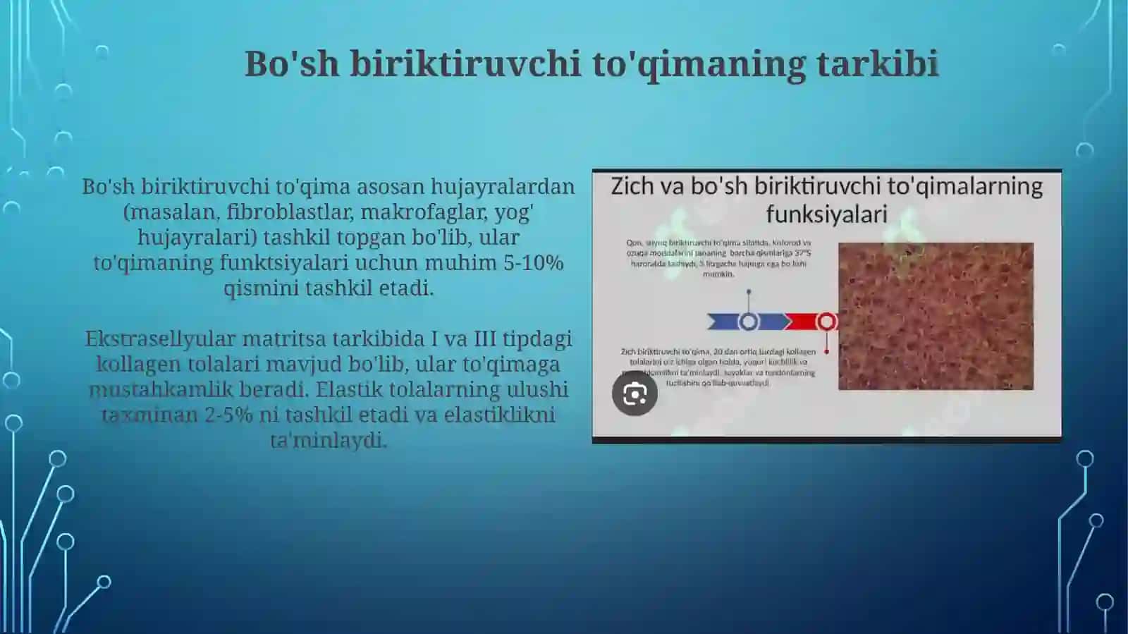 Qonvasiyraktolalibiriktiruvchito'qimaningo'zaromunosabatlari 4