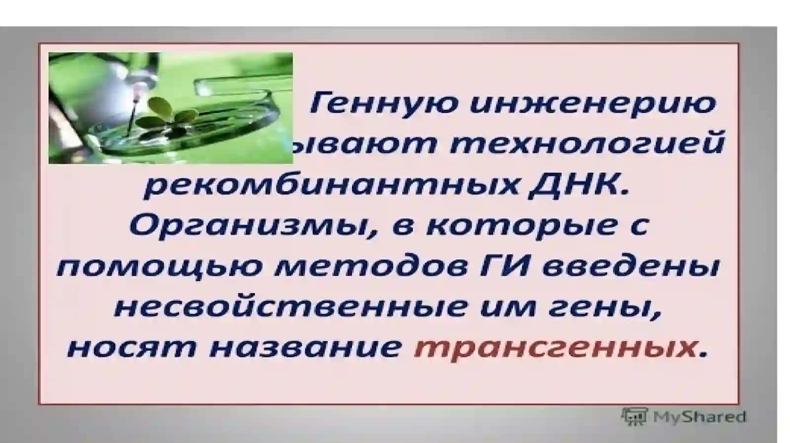 Ген муҳандислиги 4