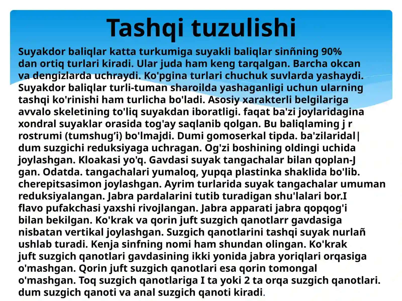 Suyaklibaliqlar 4