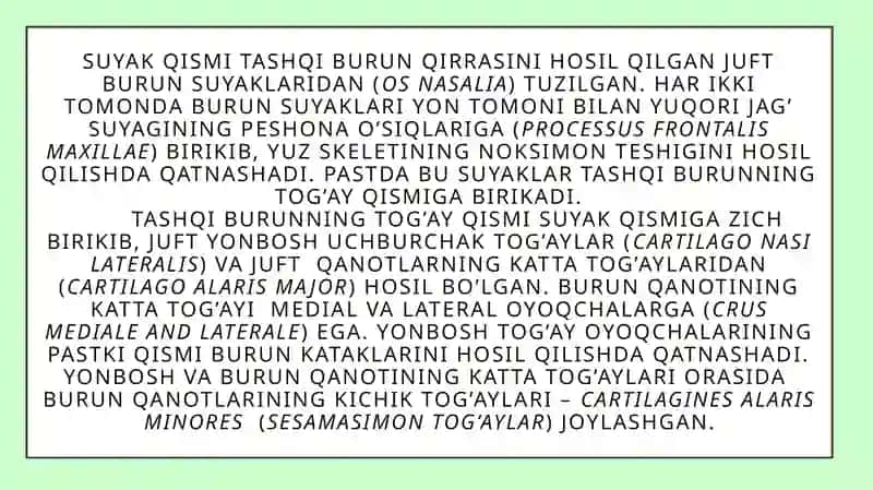 Burun va Burunyondoshbo’shliqlik 4