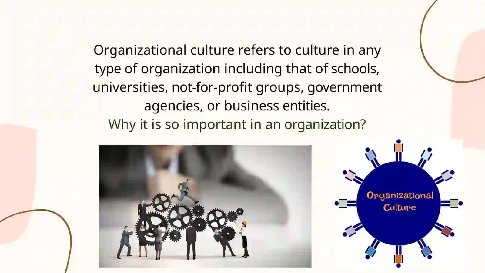 Organizational culture and its development in management 4