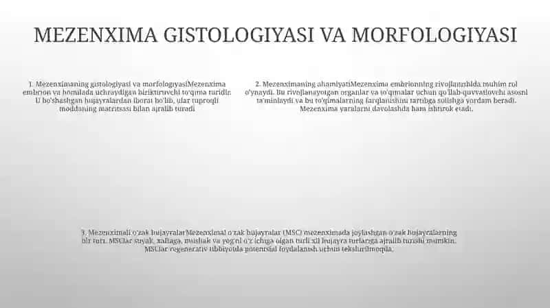 Mezenximaning Tuzilishi Va Ahamiyati 4