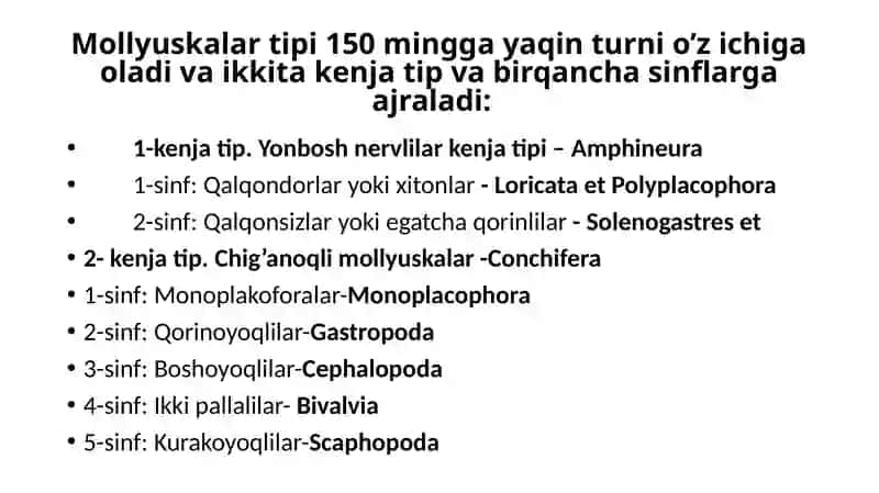 Mollyuskalar 4