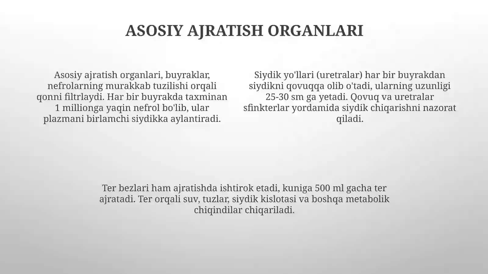 Ayirish organlarining tuzilishi buyrakning tuzilishi 4