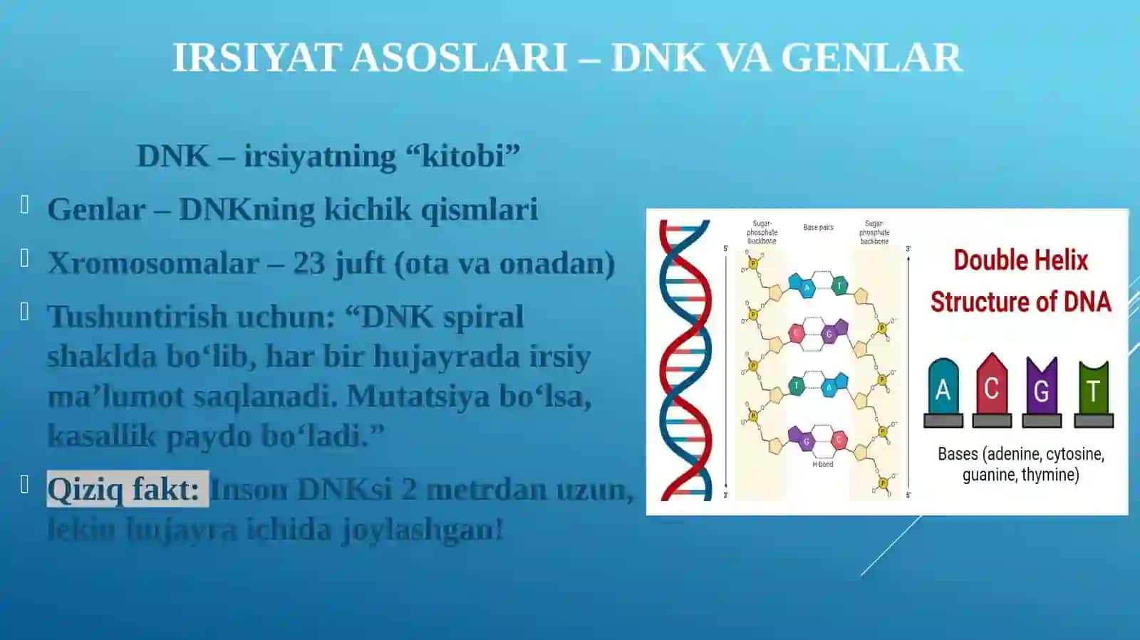 IRSIYAT VA XOMILA ICHKI PATOFIZIOLOGIYASI 4