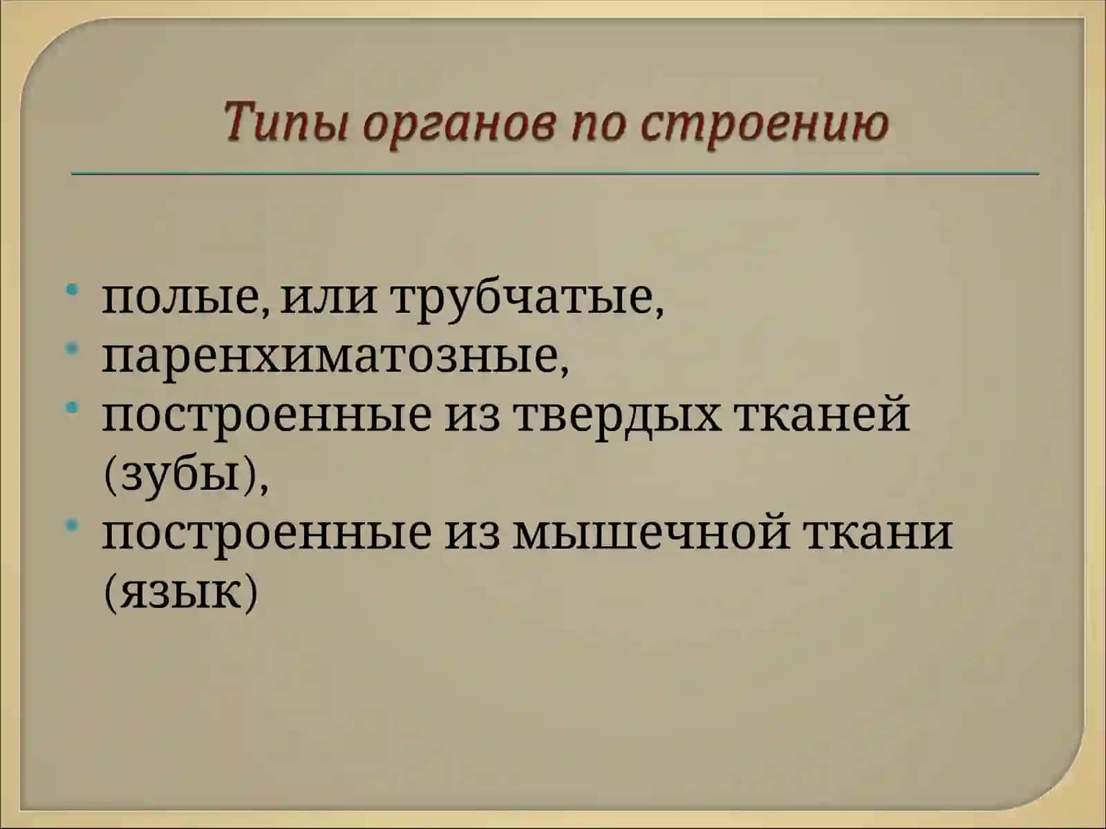 Спланхнология 4