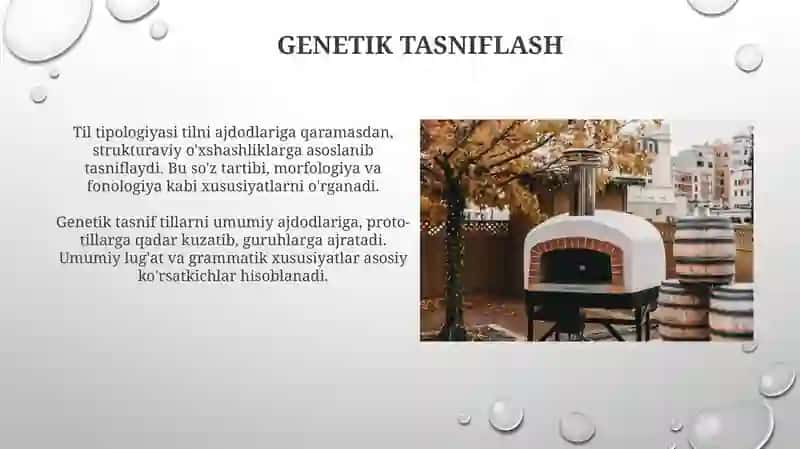 Tilshunoslikdagi lisoniy tasnif 4