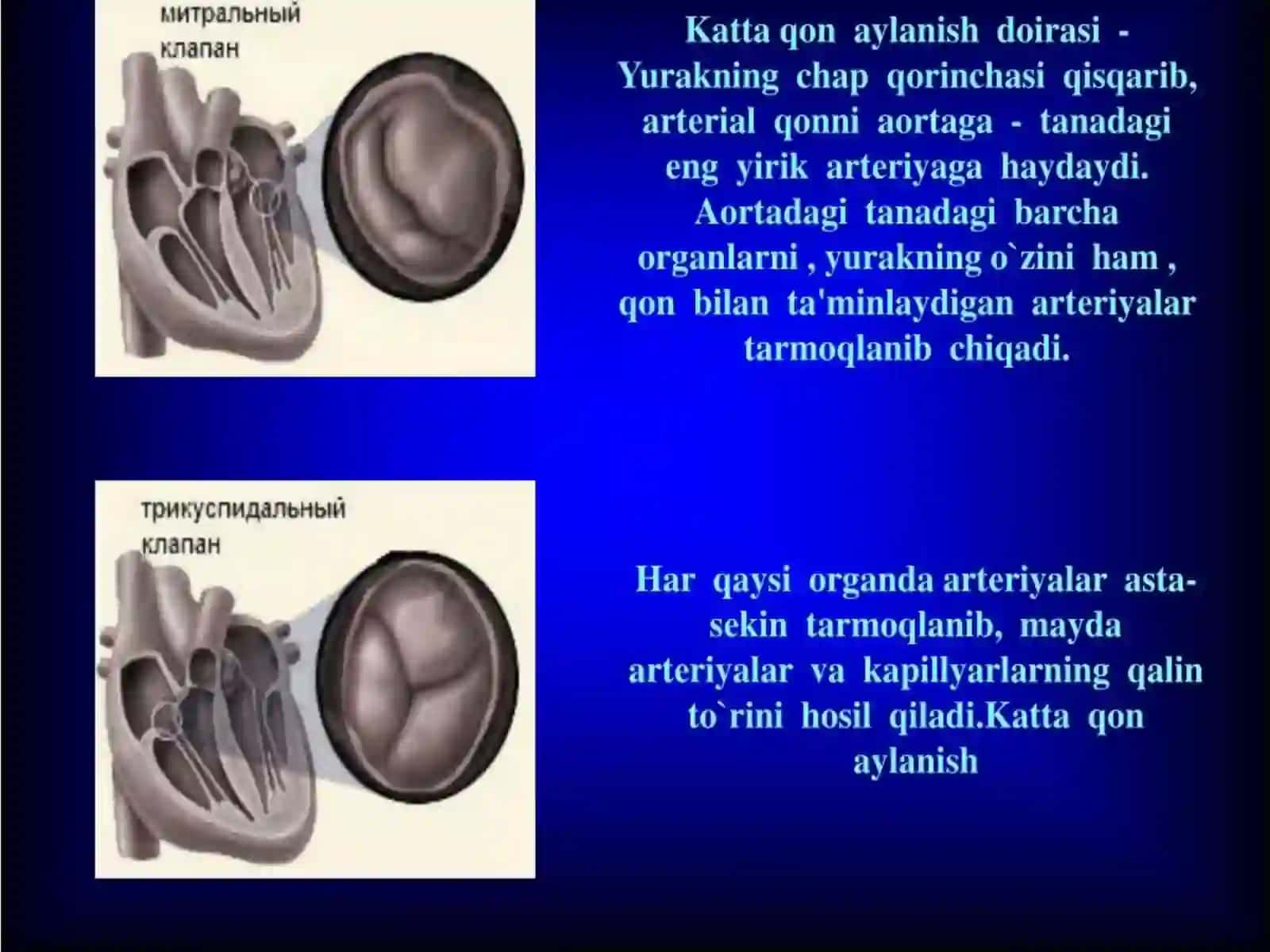 Axbatottexnalogiyalari Menejment Universiteti 4-bosqich M I-106-22-guruhtalabasi Aliyeva Shodiyaning Fizalogiyafanidantayyorlagantaqdimoti 4