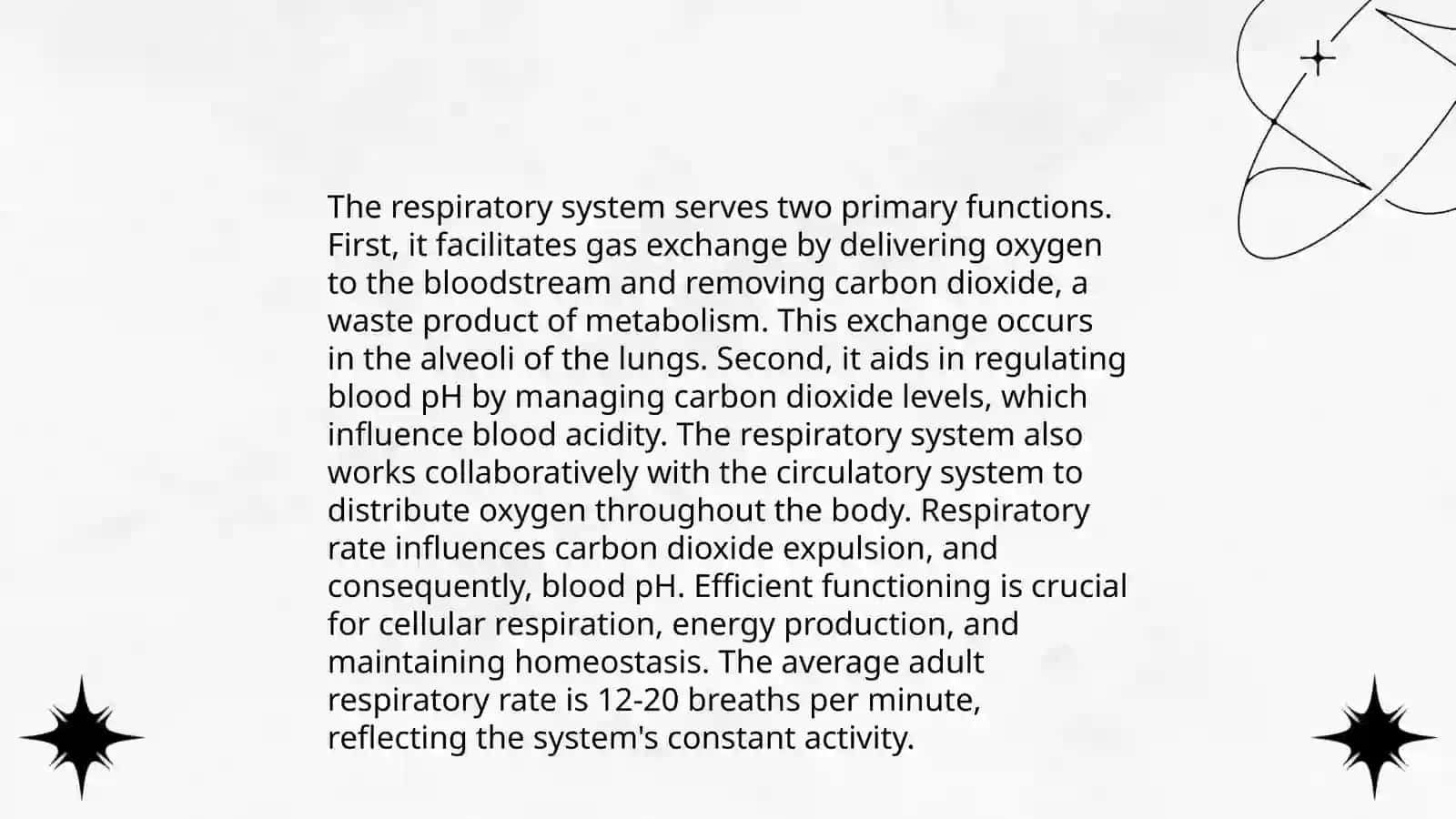 Anatomy of the Lungs 4