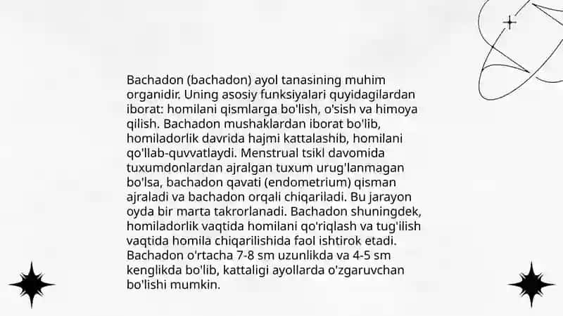 Bachadon anatomiyasi 4