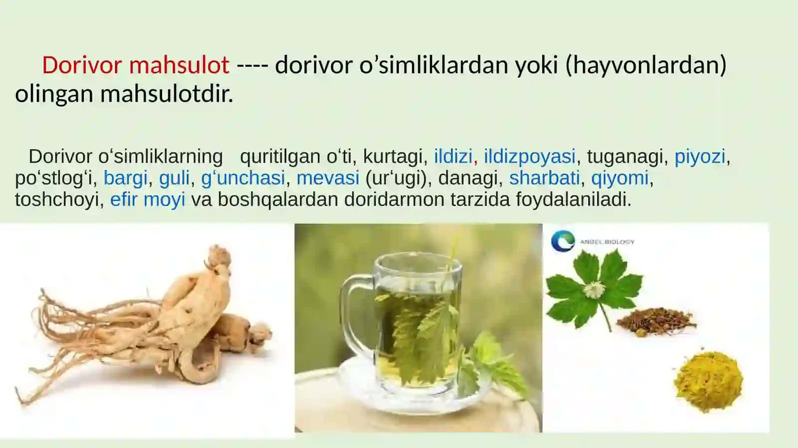 AMALIY MASHG’ULOT DORIVOR O’SIMLIK MAHSULOTLARINI STANDART HOLATGA KELTIRISH TALABLARI VA METROLOGIK TA’MINOT ASOSLARINI O’RGANISH 4