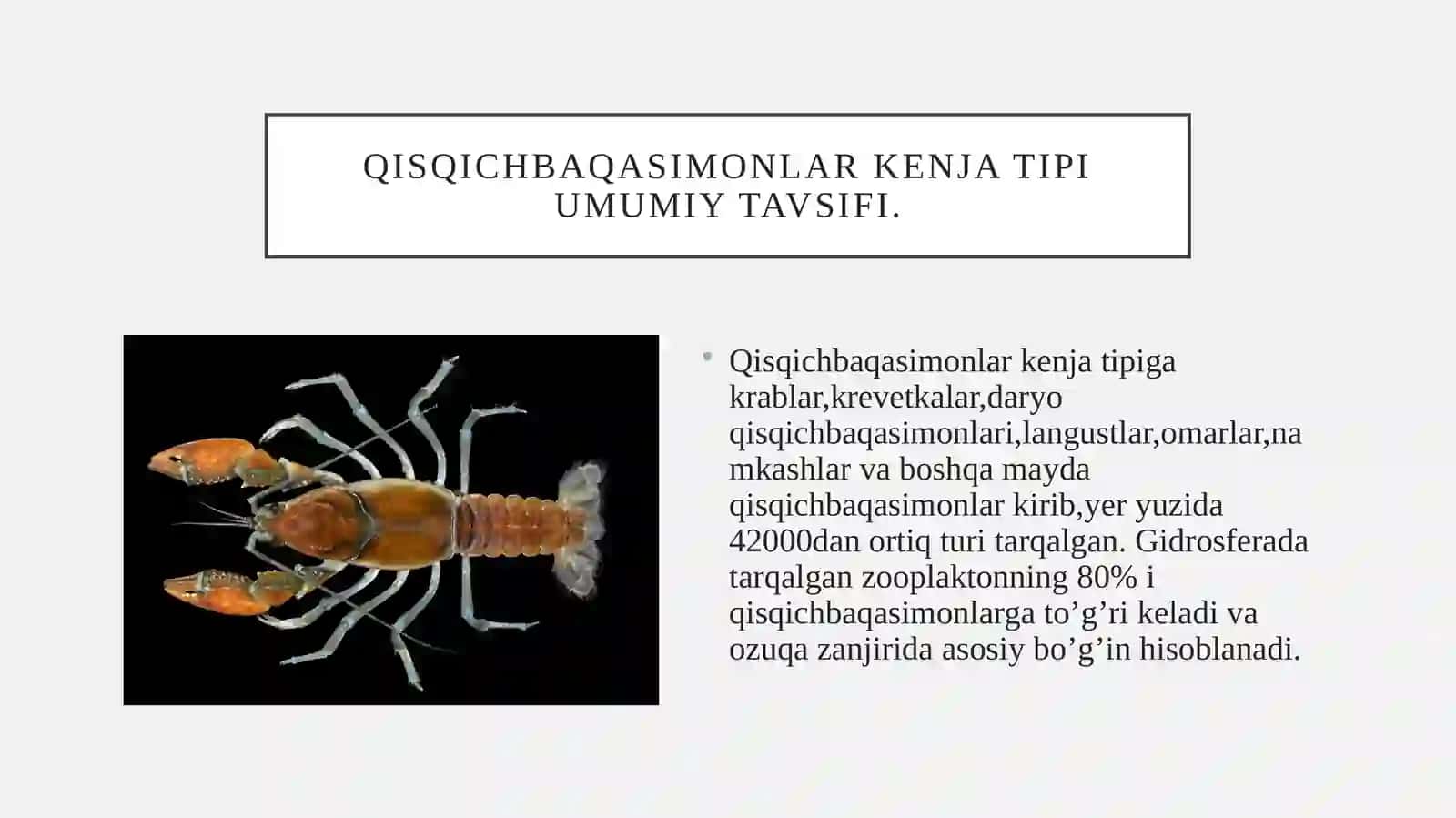 Qisqichbaqasimonlar(crustacea)kenjatipi 4