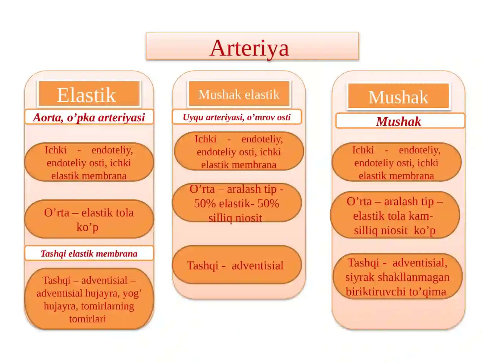 Arteriya 4