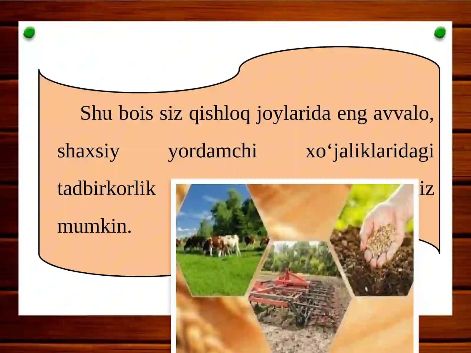 11-sinf Tadbirkorlik asoslari fanidan Qishloq joylarda tadbirkorlik mavzuda dars taqdimot 4