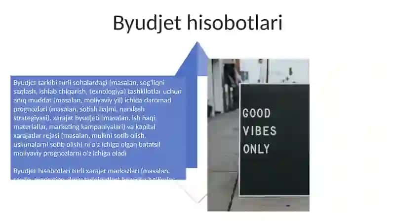 Budjet xisobining standartlari va ularning mazmuni 4