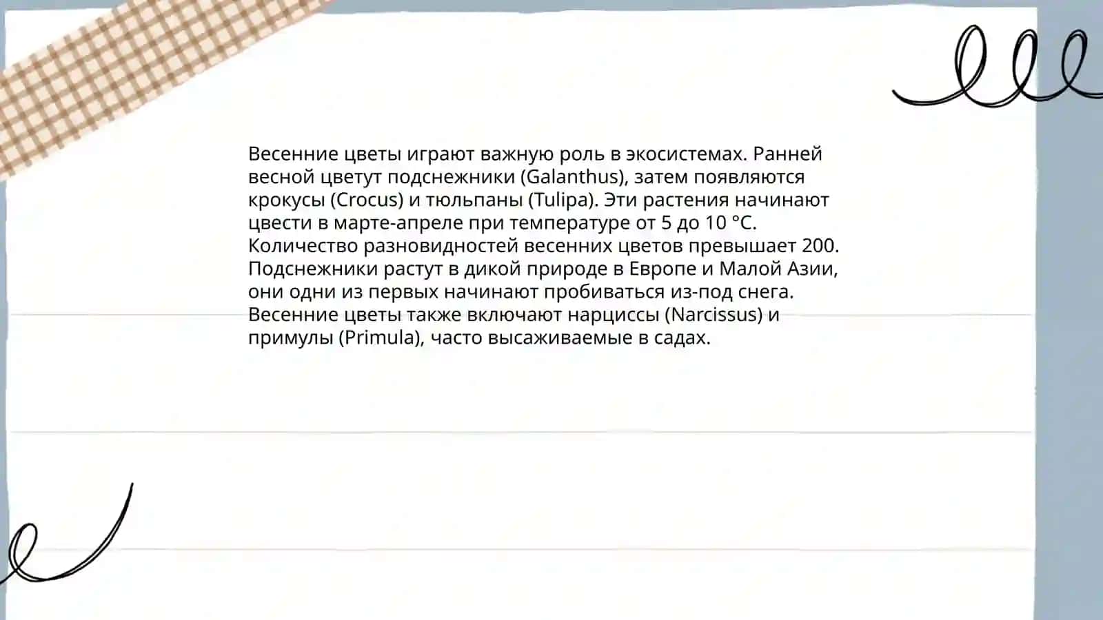 Весна 4