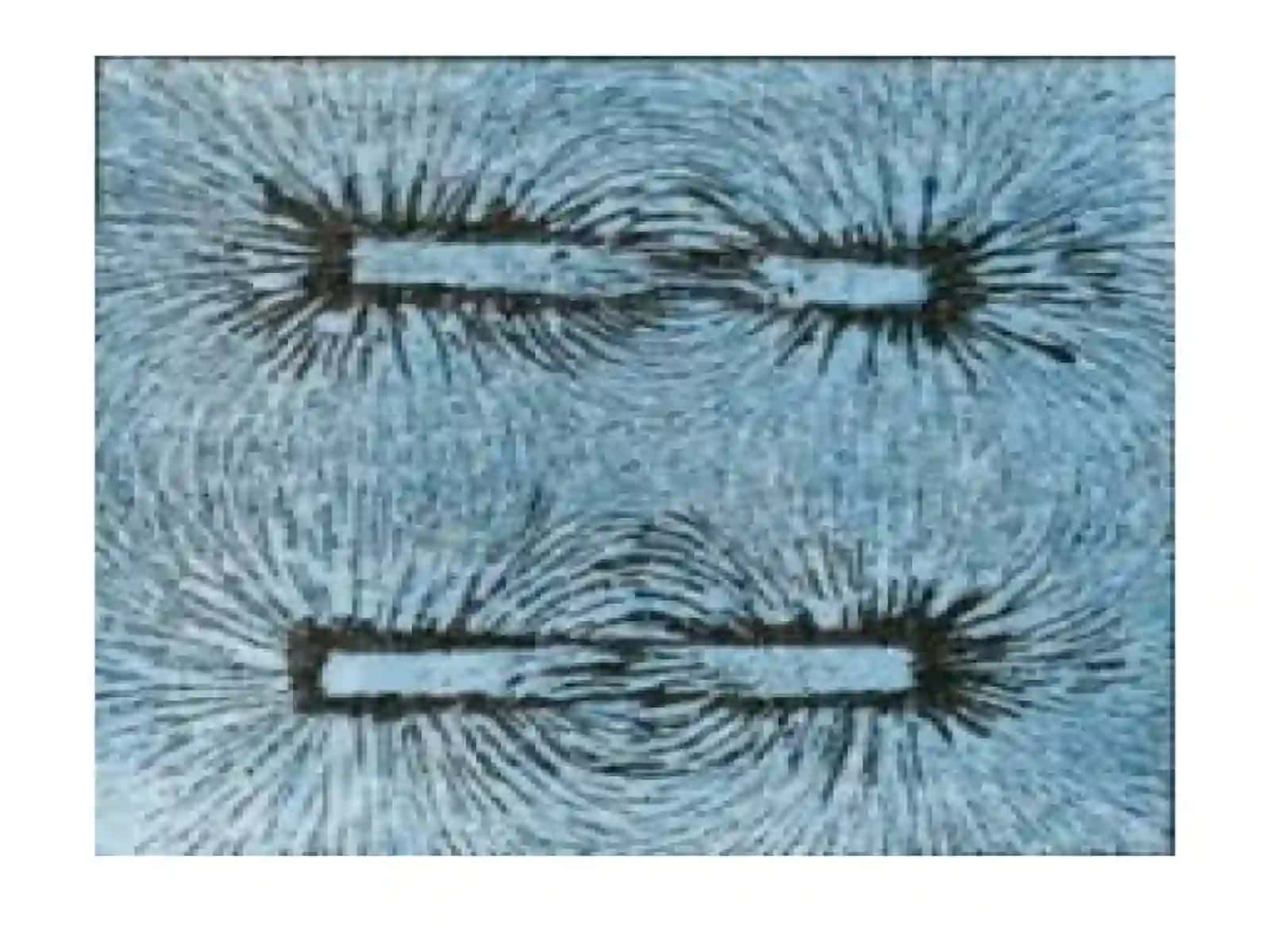 Magnitoqimi.Elektromagnitinduksiyahodisasi 4