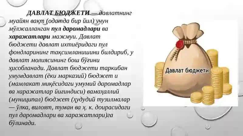 Davlat budjeti mavzusida taqdimot 4