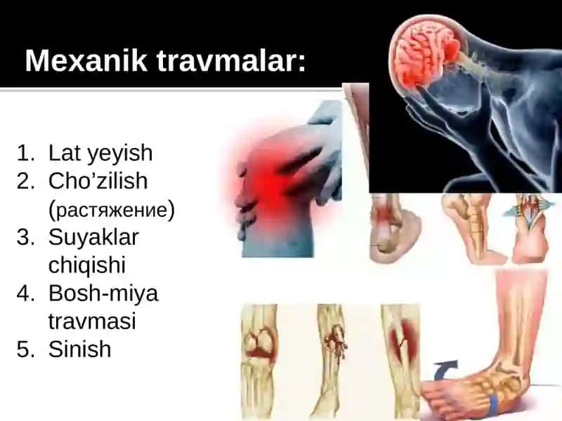 MLC Pathology 4