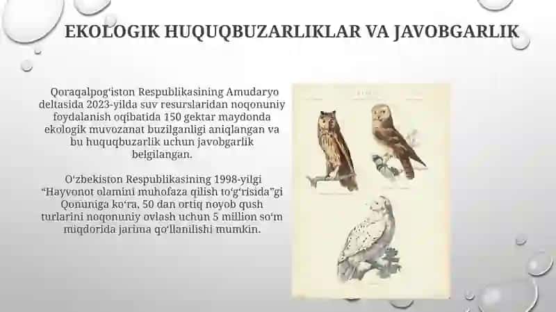 O'simlik va Hayvonot Dunyosini Muhofaza Qilish va Undan Foydalanishning Huquqiy Tartibi 4