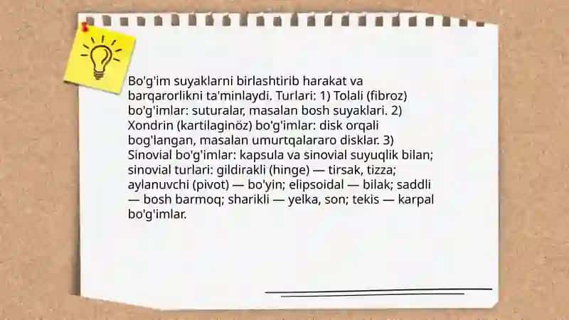 Odam tana qismlari tuzilishi 4