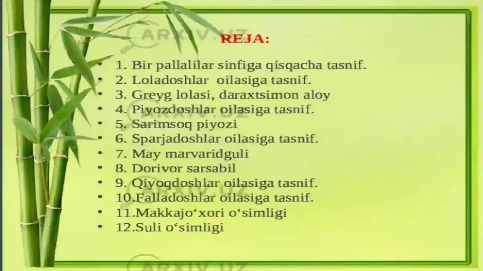 Oʻsimliklarning hayotiy shakllari 4