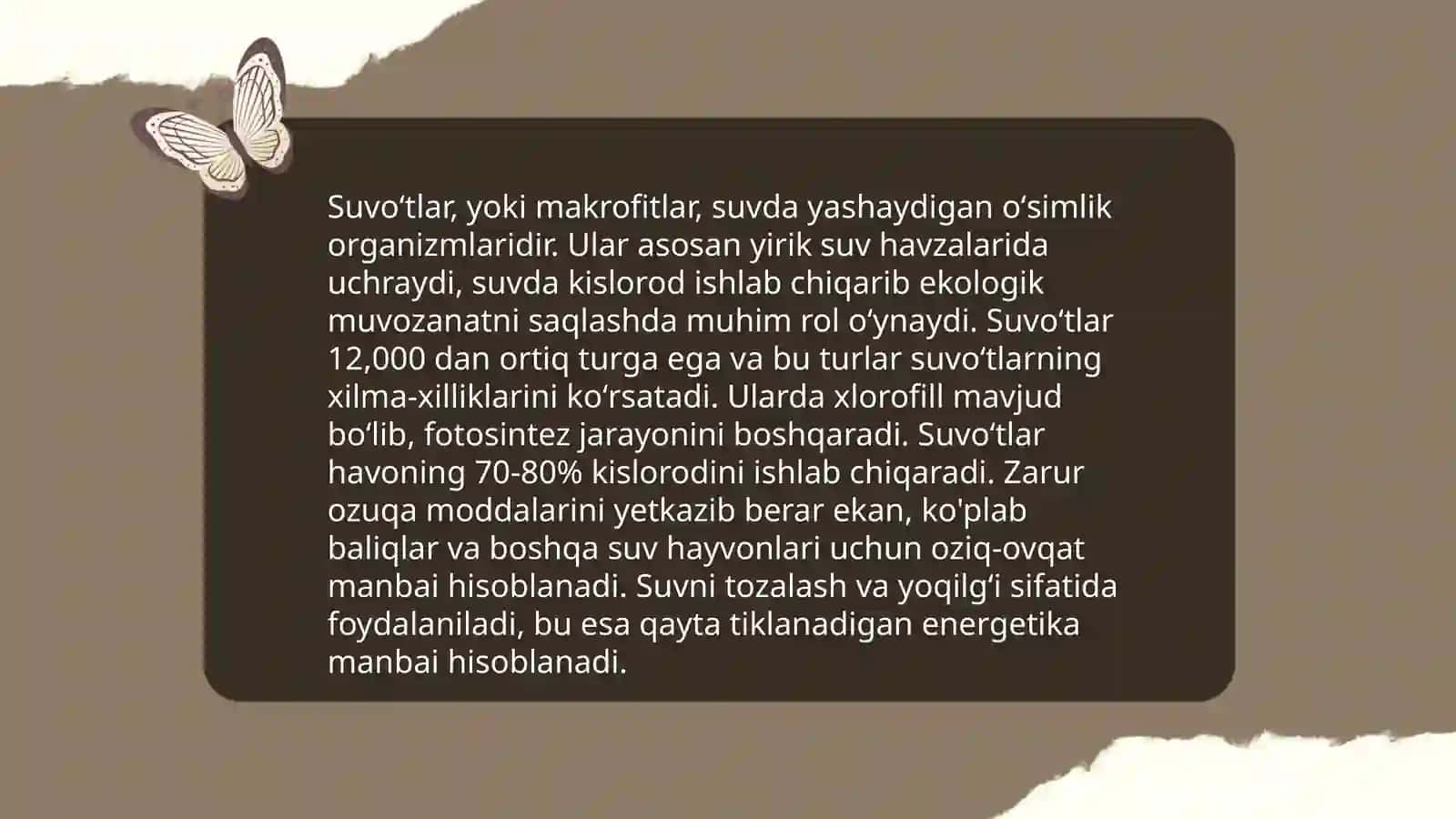 Tuban oʻsimliklar va suvoʻtlar 4