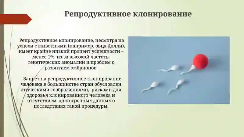 Клонирование: основные понятия 4