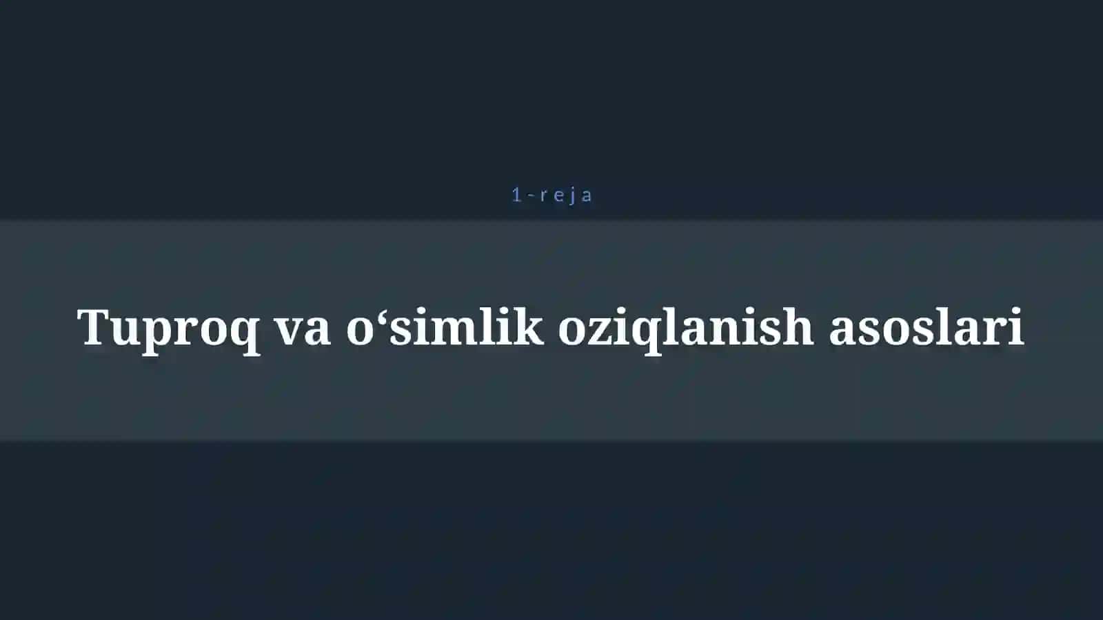 MINERAL O’G’ITLAR 4