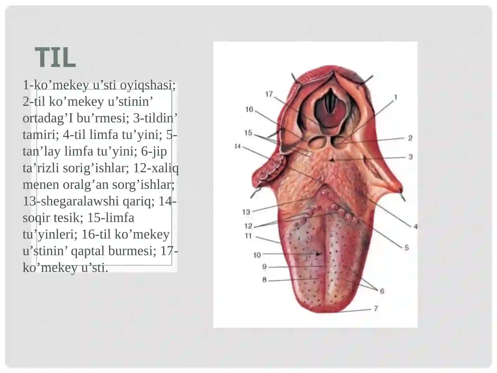 Assin’iriwsistemasi 4
