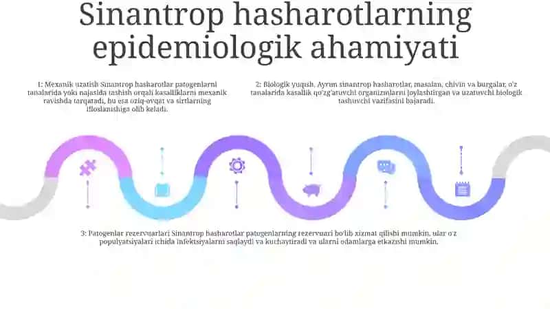 Sinantrop KoʻRinishdagi Hasharotlar Ularning Epidemiologik Ahamiyati 4