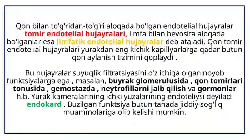 Qon  tomir endoteliyasining funksiyalari 4