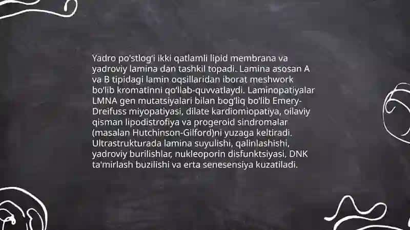 Eukariot hujayralarning ultrastrukturaviy tuzilishi. Hujayra umumiy organoidlari. Ushbu organellalarning patologiyasidan kelib chiqadigan kasalliklar. 4