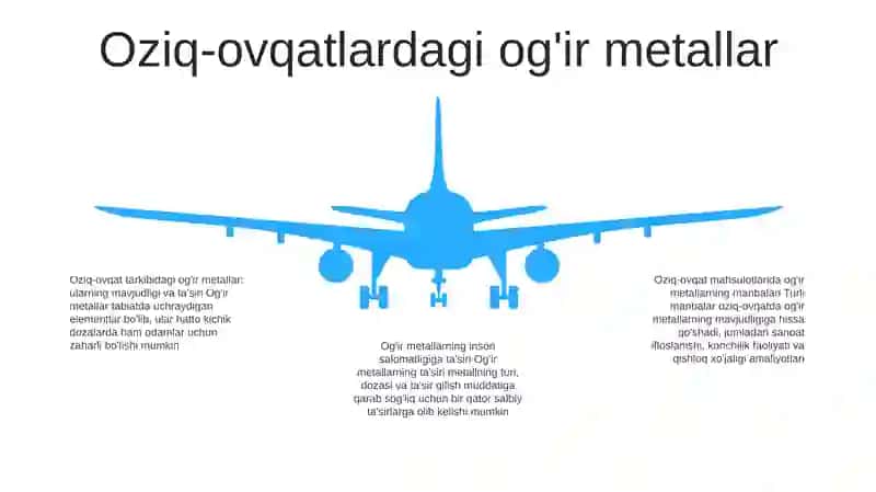 Оziq-Оvqаt Mаhsulоtlаrining Kimyoviy Elementlardan Zaxarlanishi 4