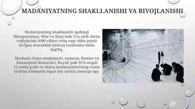Madaniyatning ijtimoiy funksiyalari 4
