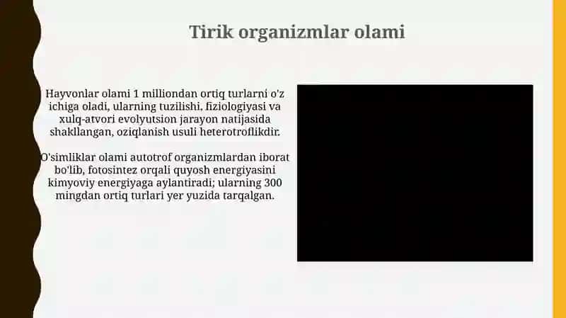 Tirik va jonsiz tabiatning ta'rifi va xususiyatlari 4