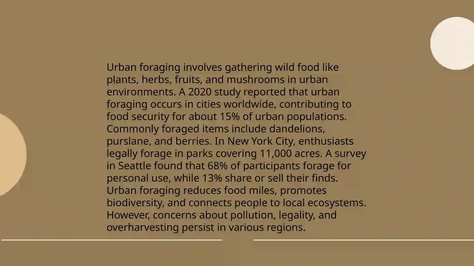Unique leisure activity 4