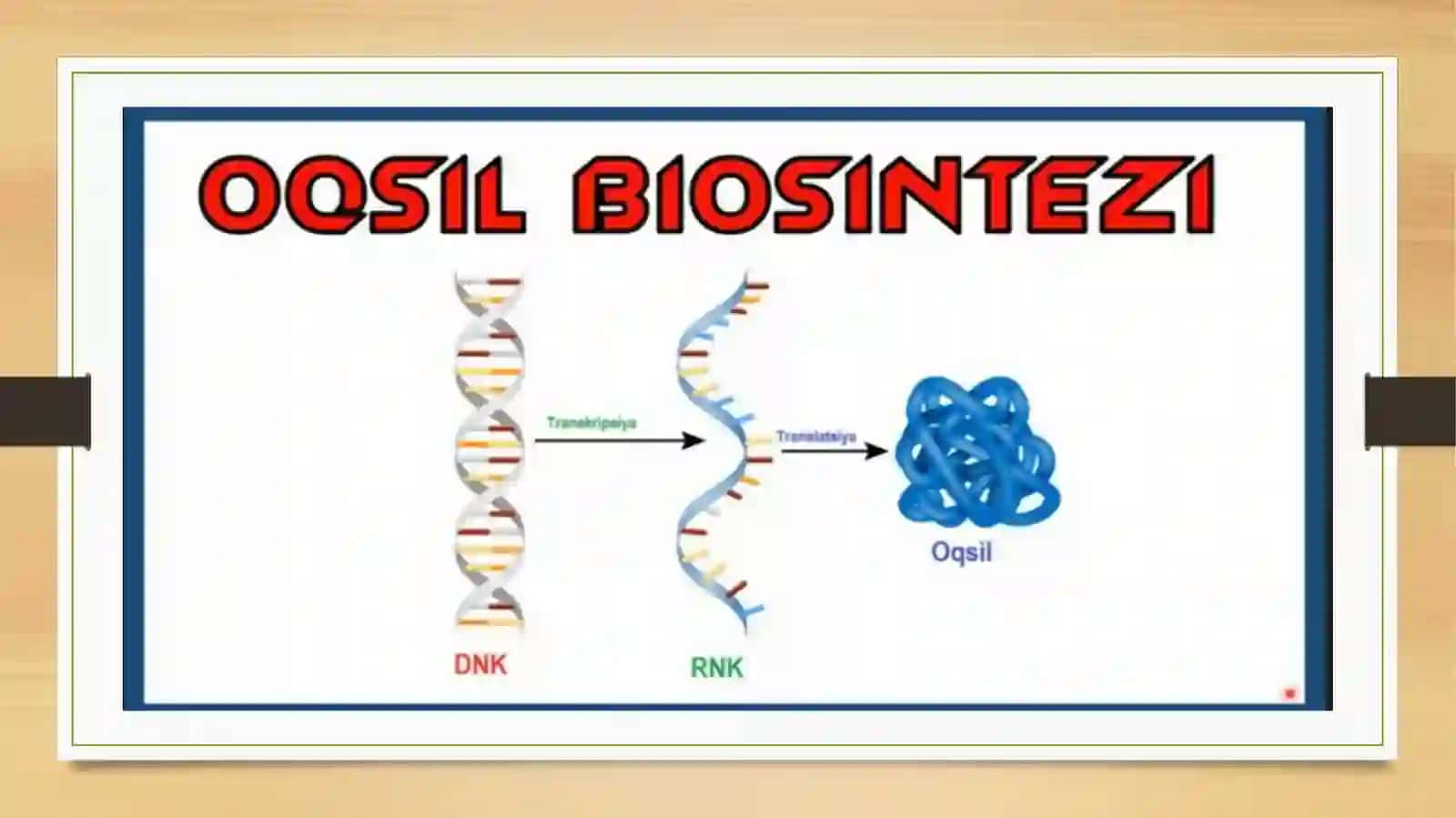 Oqsilbiosinteziingibitorlari 4